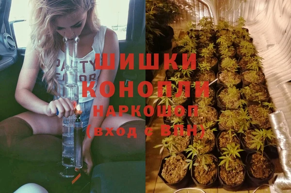 PSILOCYBIN Алексеевка