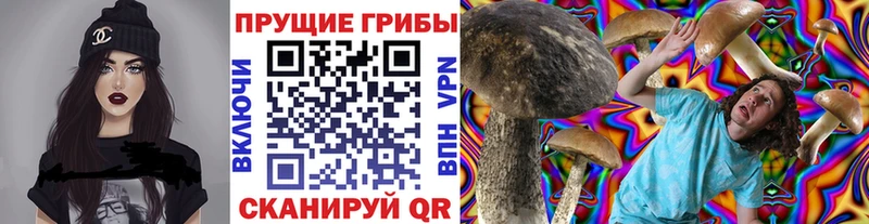 закладка  Среднеколымск  Галлюциногенные грибы MAGIC MUSHROOMS 